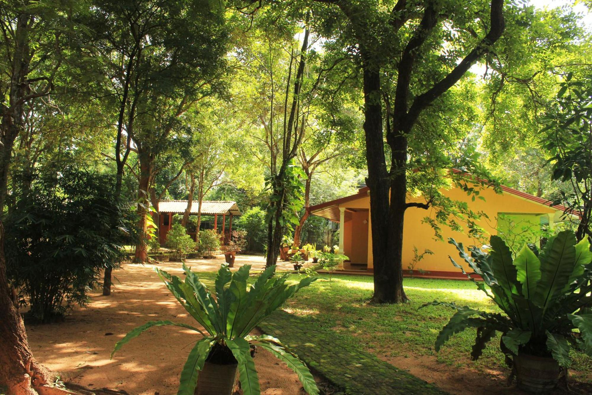 Gimhani Guest House Хабарана Экстерьер фото
