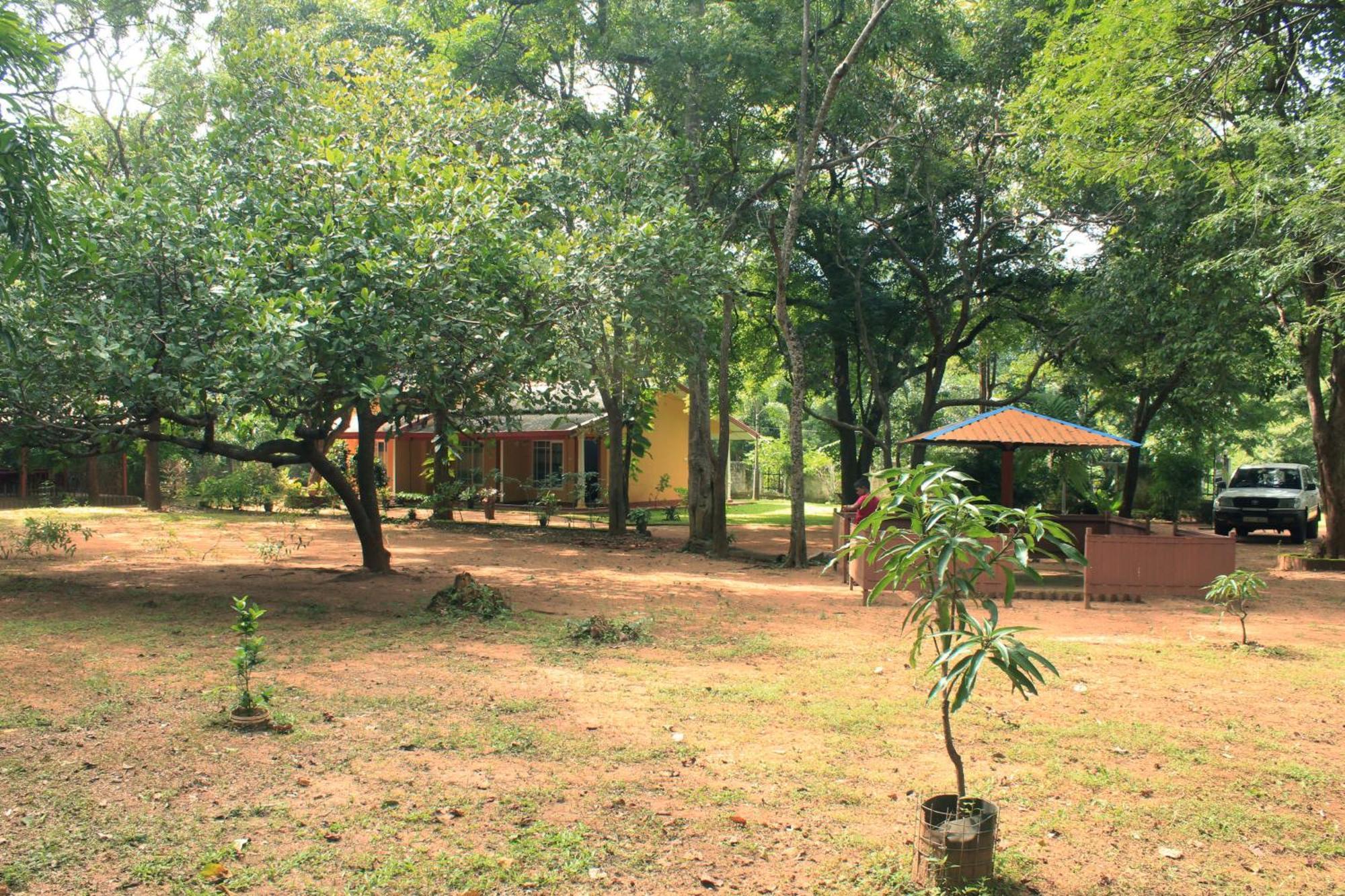 Gimhani Guest House Хабарана Экстерьер фото