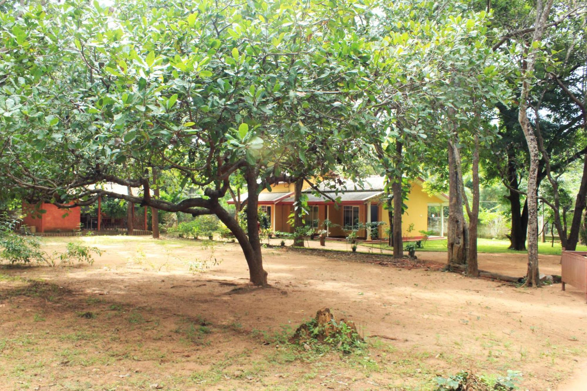 Gimhani Guest House Хабарана Экстерьер фото
